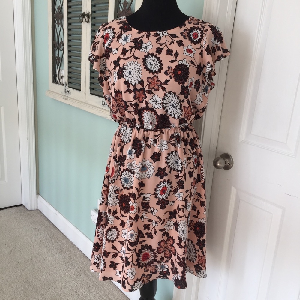 Ann Taylor Loft Dress Gently Worn Size Petite L